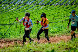 BIB: 3378, 590
                            <button type="button" onclick="openModal(19163890)" class="btn btn-primary btn-sm float-right btn-popup" data-toggle="modal" data-target=".modal-high-quality">
                        <i class="fas fa-shopping-cart"></i> Add to Cart
                    </button>
                                            <button type="button" onclick="isThisMe(19163890, true)" class="btn btn-success btn-sm float-right btn-popup btn-isme hidden" data-toggle="tooltip" data-placement="bottom" title="นี่คือรูปของคุณใช่ไหม คลิกที่นี่เพื่อเอาเข้าอัลบั้ม">
                        <i class="fas fa-plus"></i> Add to album
                    </button>
                    <button type="button" onclick="isThisMe(19163890, false)" class="btn btn-warning btn-sm float-right btn-popup btn-isnotme hidden">
                        <i class="fas fa-ban"></i> Remove from album
                    </button>